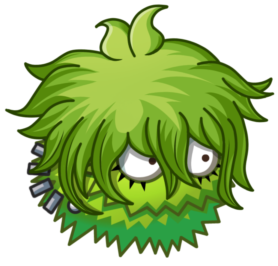 Rantaro chestnut